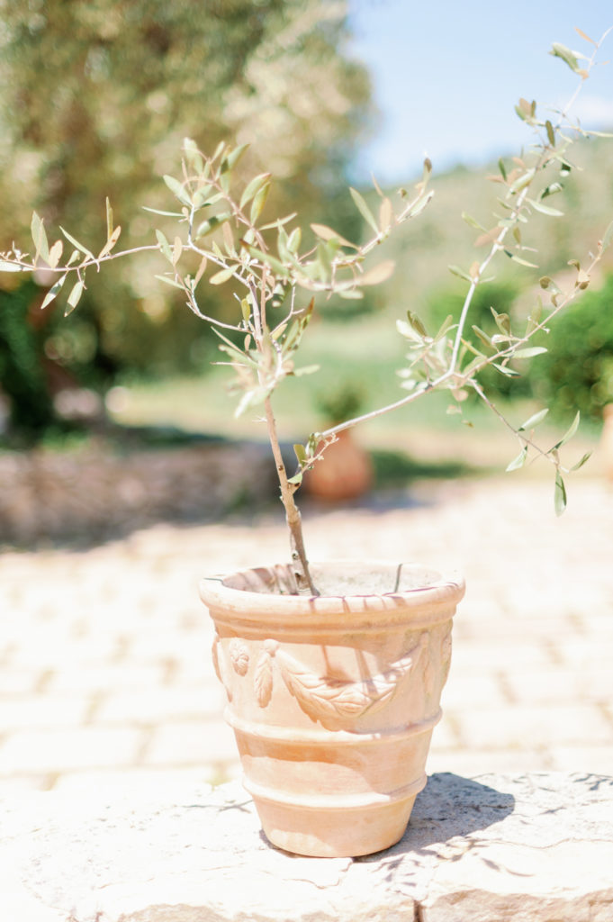 mariage domaine souviou