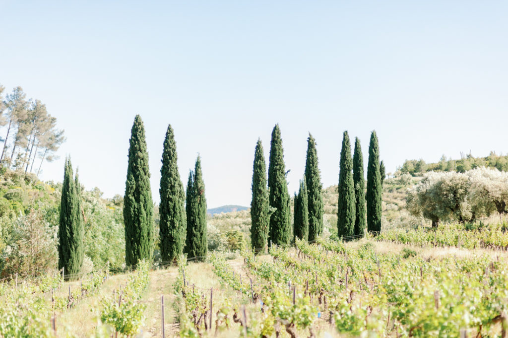 mariage domaine souviou