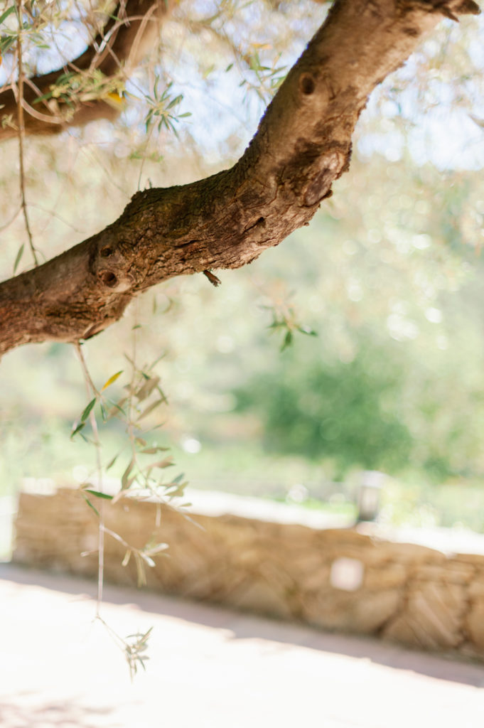 mariage domaine souviou