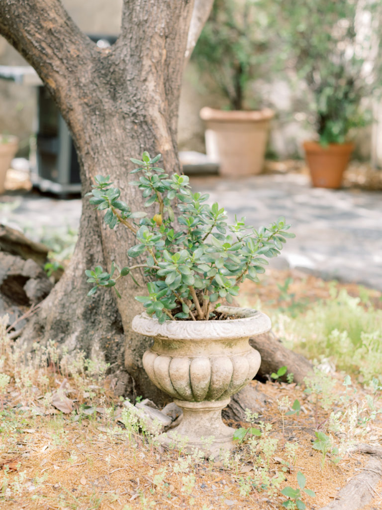 wedding couvent pozzo corsica