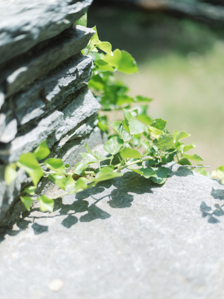 wedding couvent pozzo corsica