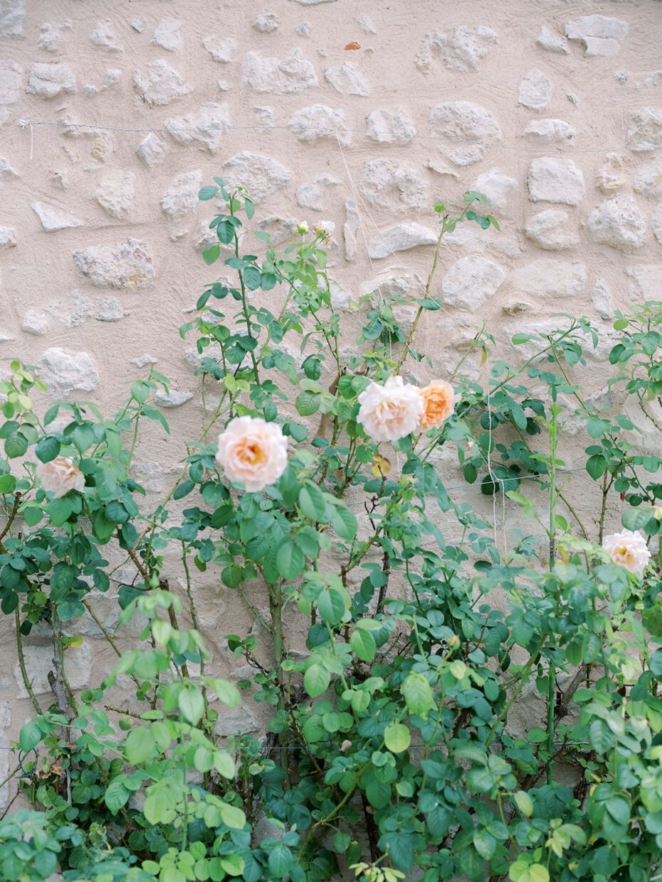 mariage vaucluse chateau avignon