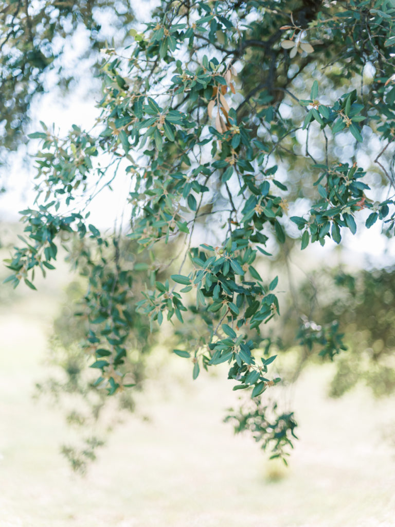 mariage matahari lumio corse