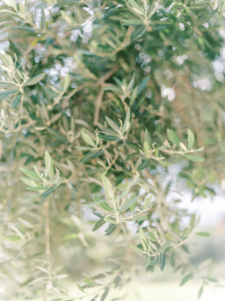 mariage matahari lumio corse