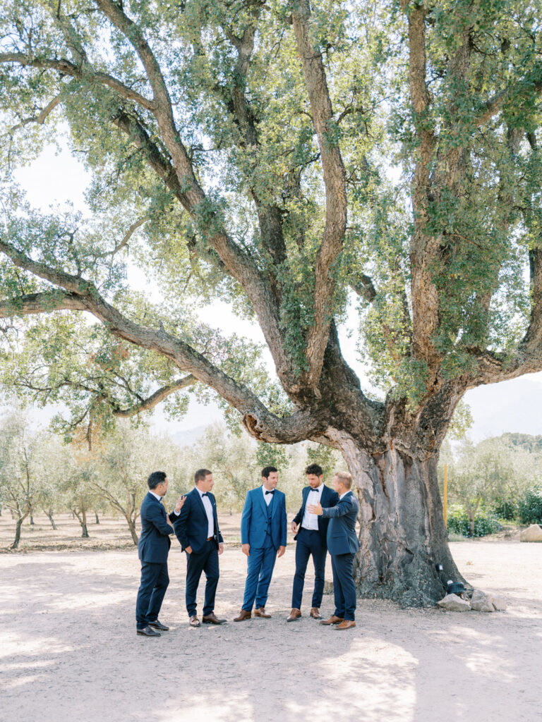 mariage domaine reginu