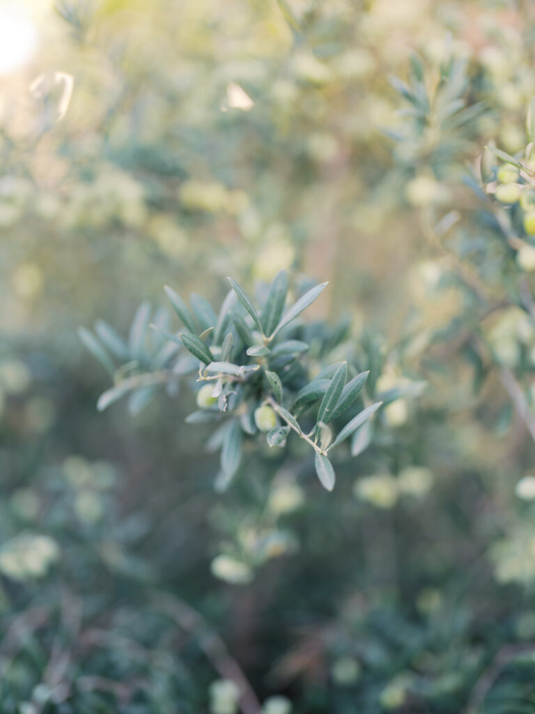photographe mariage aix en provence