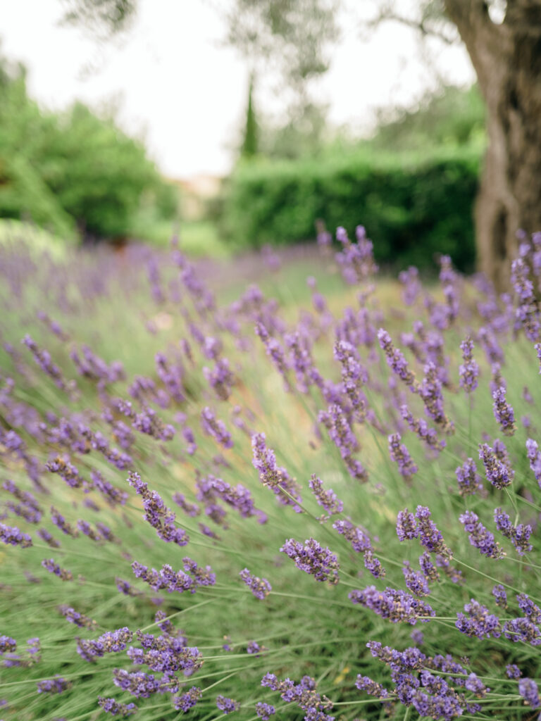 photographe mariage aix en provence